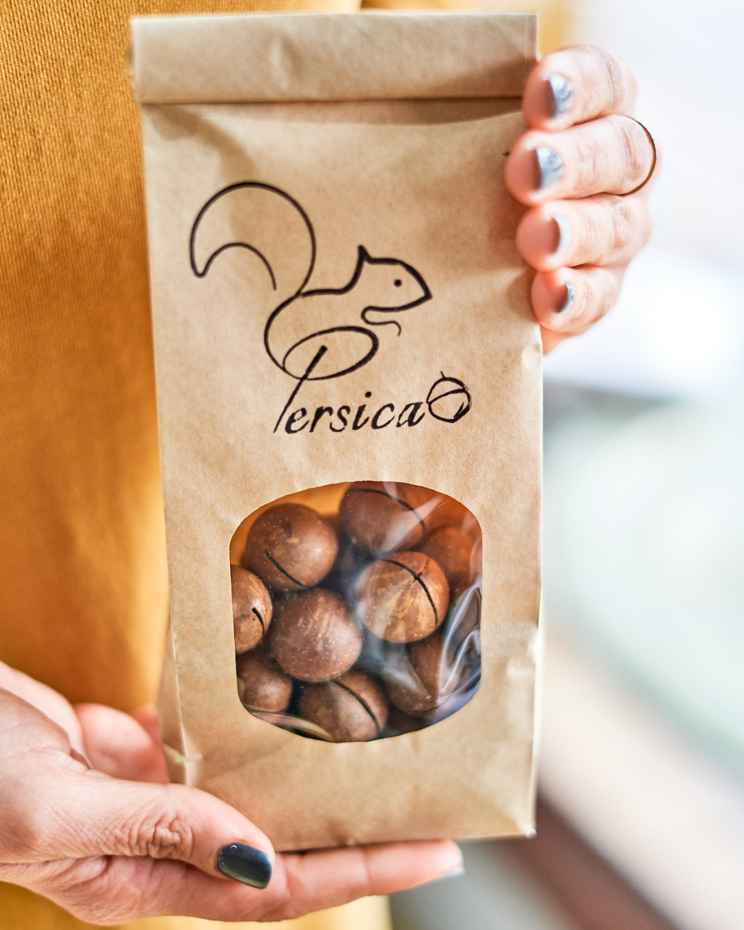 Premium Macadamia Nuts in Shell