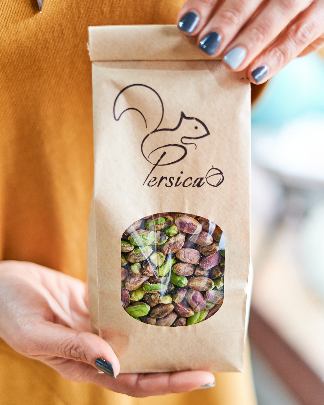 Premium Salted Pistachios in Shell